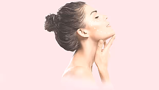 Estedonau Firması Hakkında